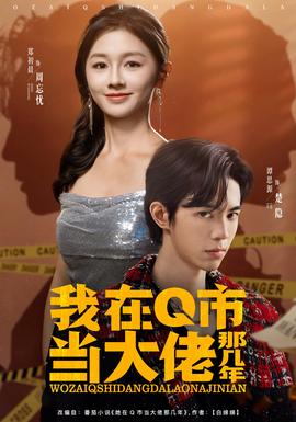 我在Q市当大佬那几年封面图
