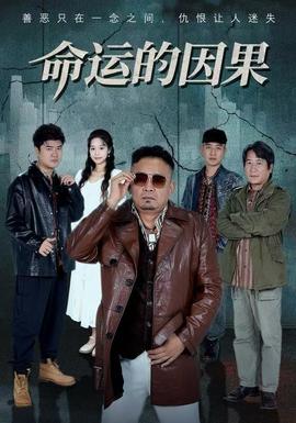 命运的因果封面图