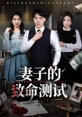 妻子的致命测试封面图