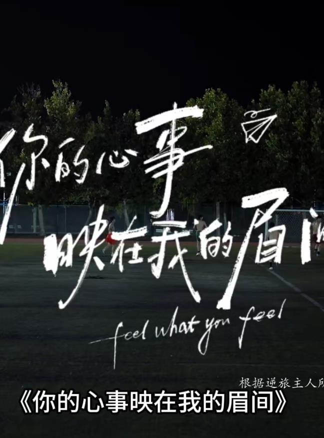 电影小姐3小时完整版