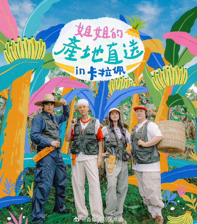 玩偶之家韩剧剧情 - 电影寒战系列