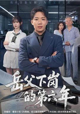 岳父下岗的第六年海报