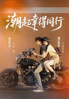 潮起幸得同行海报