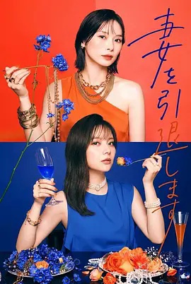 我不当妻子了海报