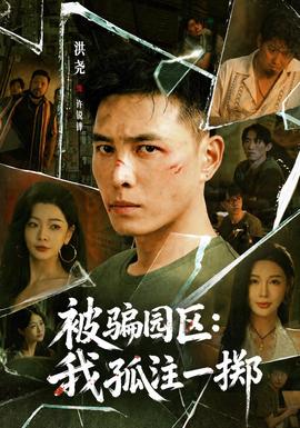 被骗园区：我孤注一掷封面图